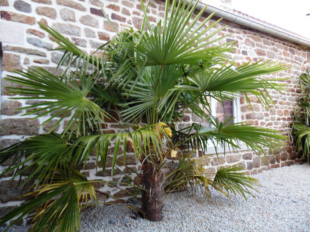 Gite Mont Saint Michel "Aucoeurdelabaie" Sains Экстерьер фото